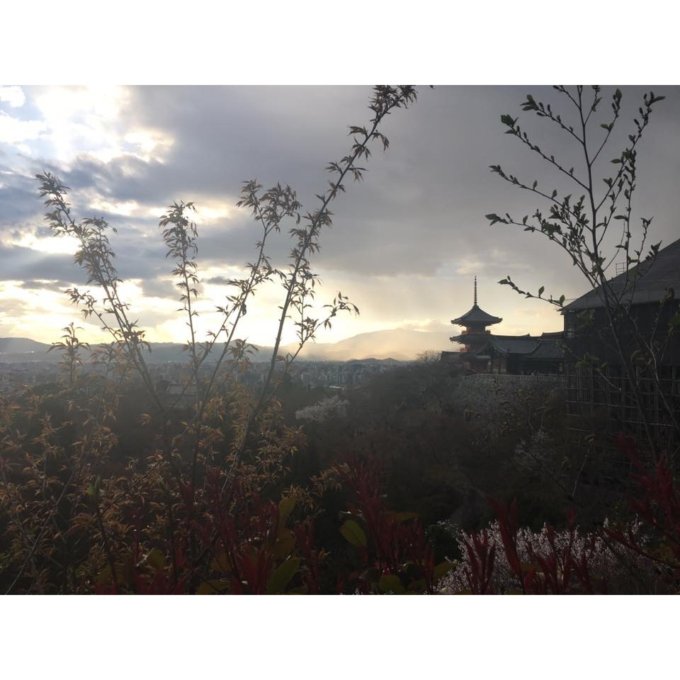 [宅米的窩]一物一圖 清水寺 古木念珠（大） 京念珠 清水念珠 京都 音羽山 清水寺 觀音 念珠 千年古寺 古木念珠-細節圖10