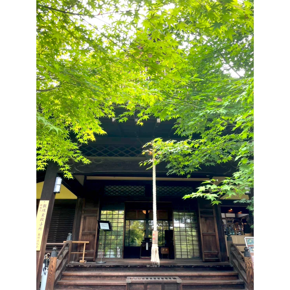 [宅米的窩] 少見難得 大阪 書寫山 圓教寺限定 觀音身代守 寺院限定 御守 如意輪觀音 守護-細節圖10