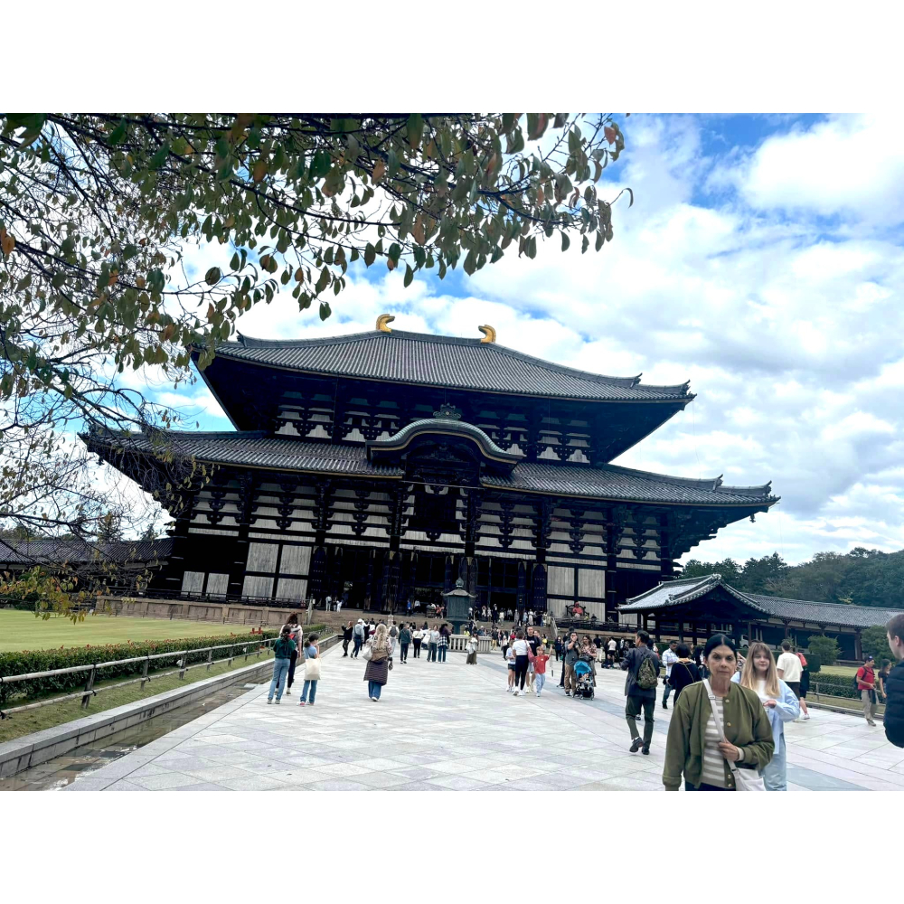 [宅米的窩] 一物一圖 只此一個 日本製 奈良 東大寺限定 西陣織 置物袋 存摺 念珠 佛經袋 日本 限定-細節圖6