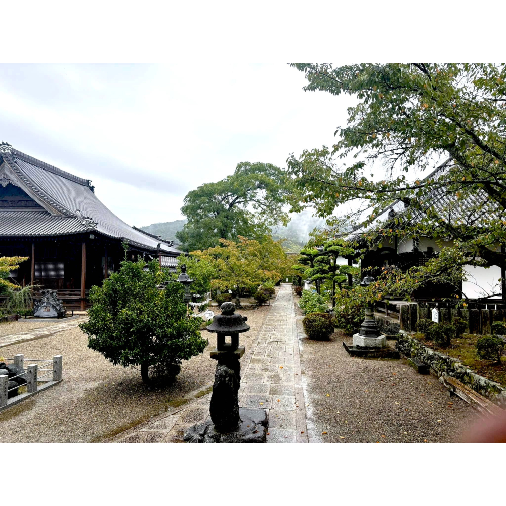 [宅米的窩] 少見！奈良 明日香 橘寺 聖德太子的誕生之所 如意輪觀音 日月星光守 厄除不動 圓融和樂 御守-細節圖8