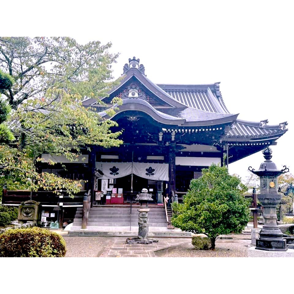 [宅米的窩] 少見！奈良 明日香 橘寺 聖德太子的誕生之所 如意輪觀音 日月星光守 厄除不動 圓融和樂 御守-細節圖9