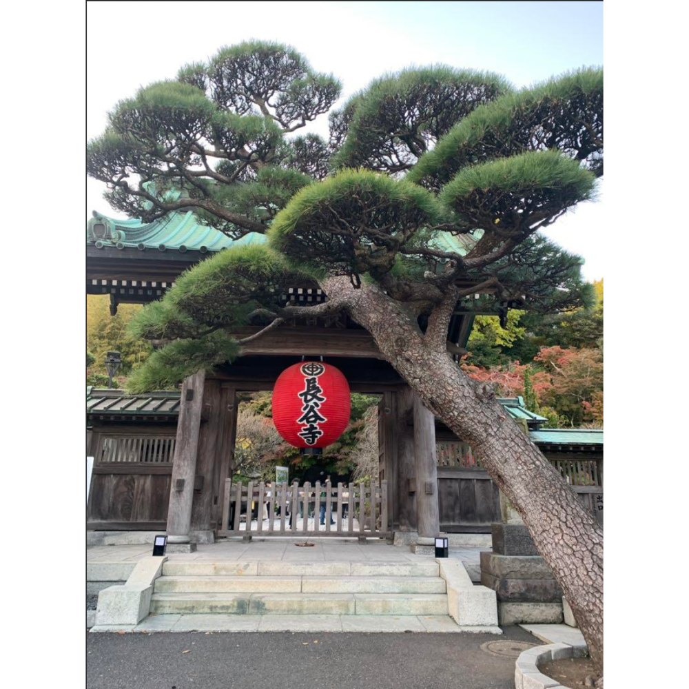 [宅米的窩]關東 深川不動堂 不動明王 身代守 身代わり御守り災厄 疾病 厄運 速速消除 御守-細節圖7