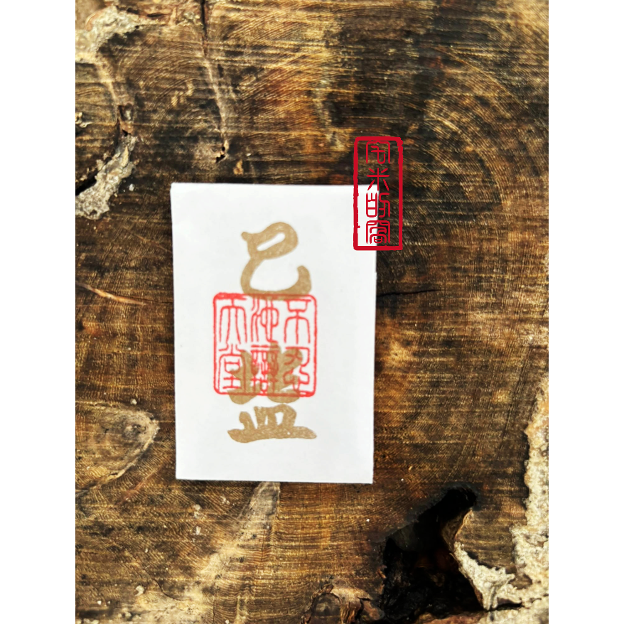 巳鹽
