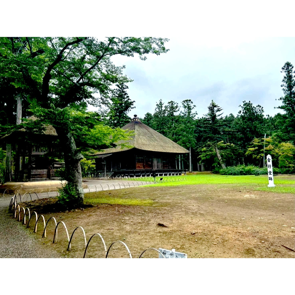 [宅米的窩] 藥師如來 守護 日本  東北 岩手縣秘境 毛越寺 限定 藥師如來 繪馬 少量現貨-細節圖5