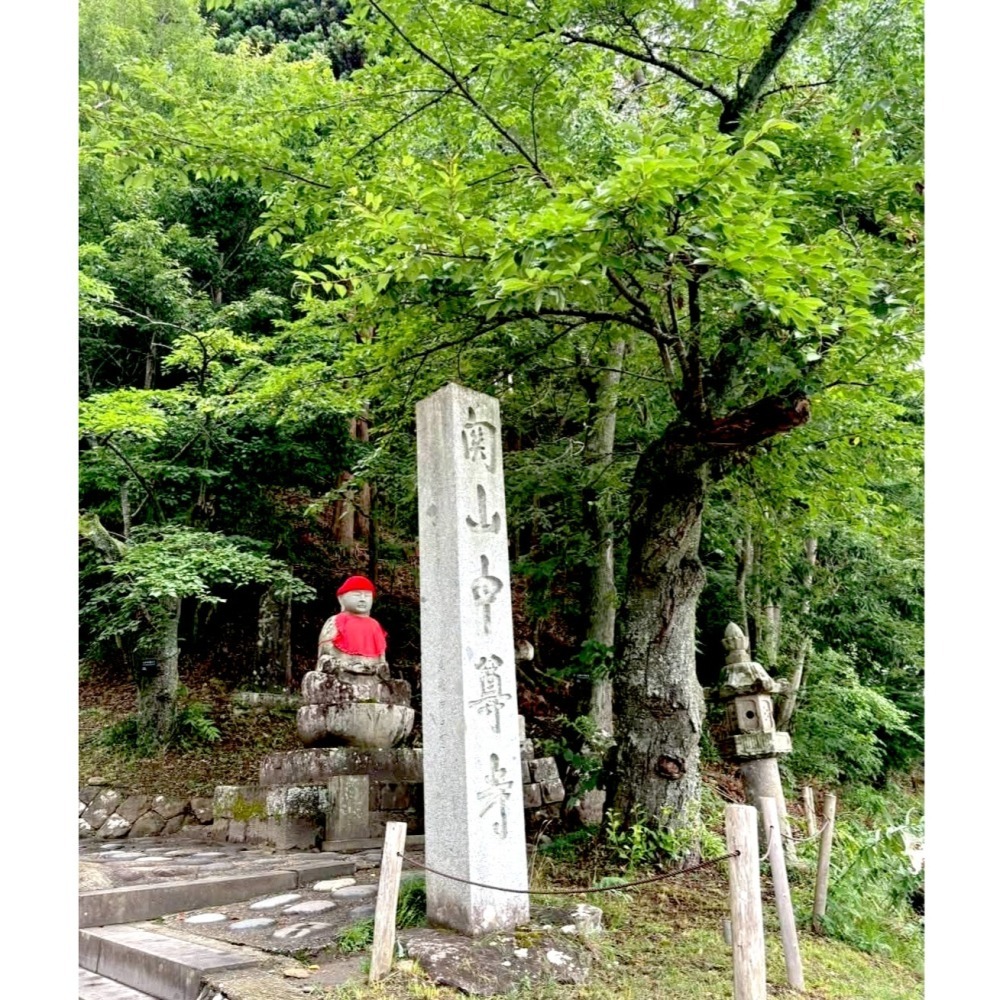 [宅米的窩] 日本東北 千年古寺 中尊寺 十年一遇 秘佛開帳限定 限量 身體健康 秘佛肌守 御守-細節圖11
