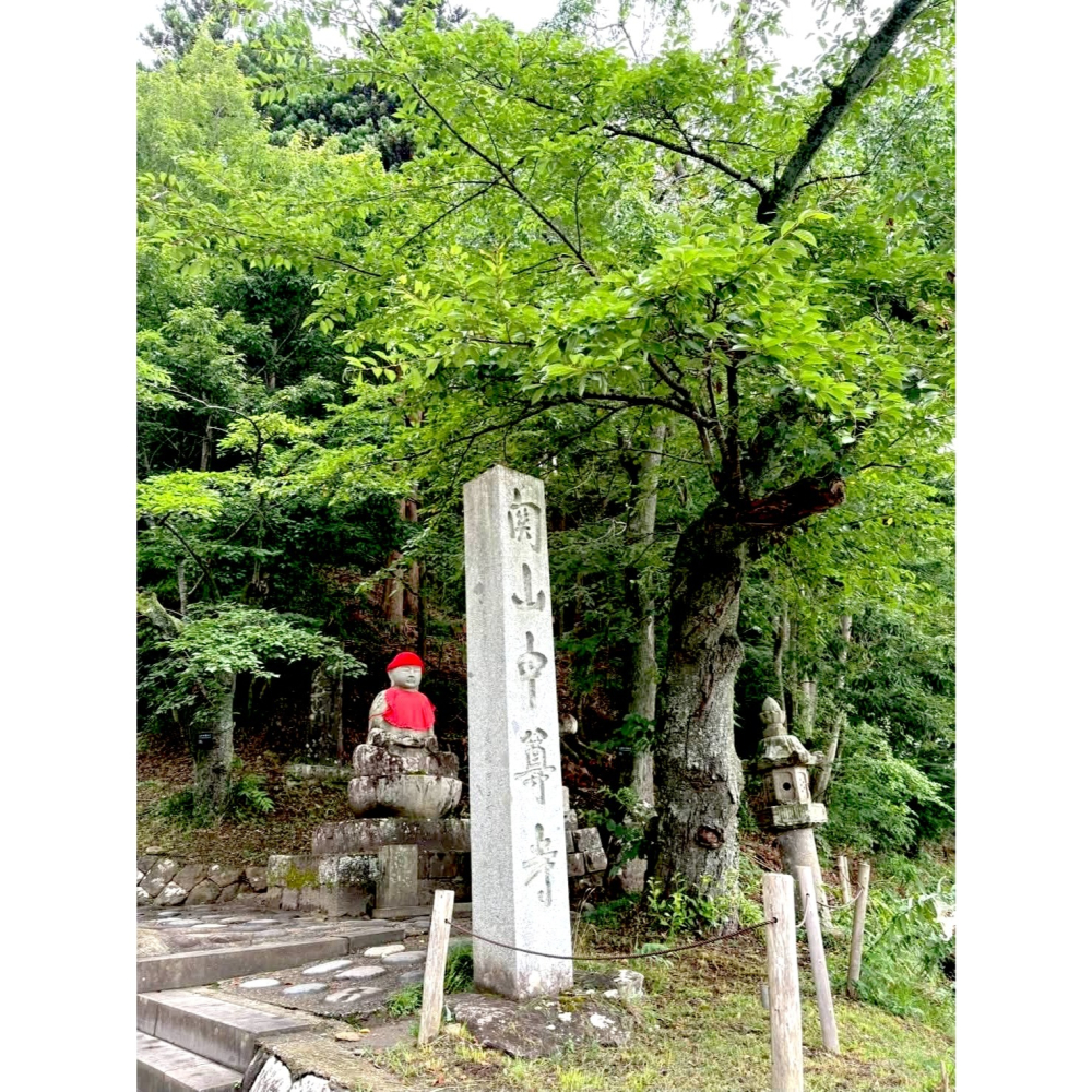 [宅米的窩] 日本東北 千年古寺 中尊寺 逆福福到貓守 藏王權現守 角大師 厄除開運 御守-細節圖9
