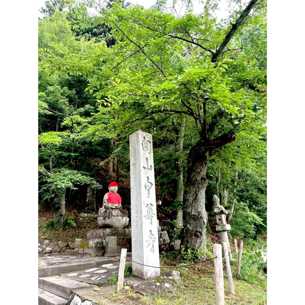 [宅米的窩] 日本東北 千年古寺 中尊寺 金色堂 阿彌陀如來 守護 諸願成就 含木盒 御守 限定-細節圖10