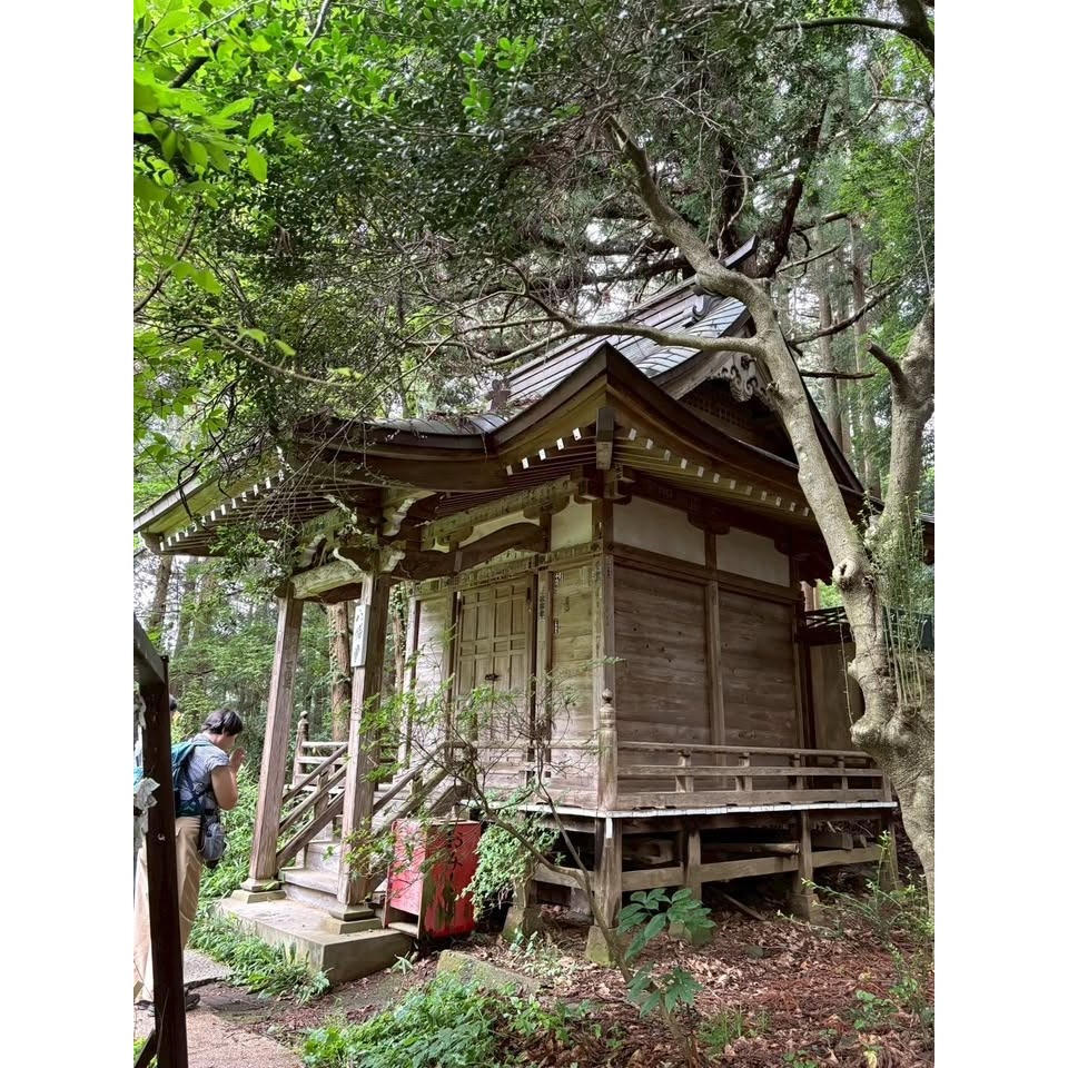 [宅米的窩]  東北古剎 平泉 毛越寺 醫王山 交通安全  御守  一路平安  限定 御守-細節圖10