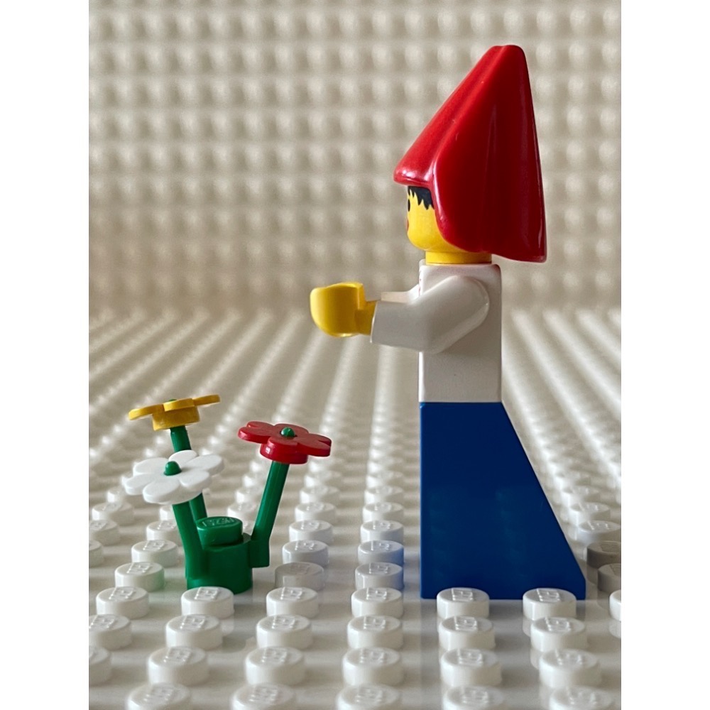 LEGO 樂高 城堡系列 城堡 6081 山中城堡 獅國 稀有公主 二手公主-細節圖5