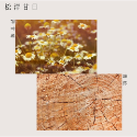 溫暖木蓋質感擴香瓶 居家擴香𓆸泰國職人溫度手作│ 泰國純手工製作 居家香氛 泰國代購 泰國文青選物-規格圖10