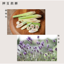 溫暖木蓋質感擴香瓶 居家擴香𓆸泰國職人溫度手作│ 泰國純手工製作 居家香氛 泰國代購 泰國文青選物-規格圖10