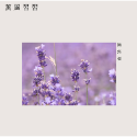 溫暖木蓋質感擴香瓶 居家擴香𓆸泰國職人溫度手作│ 泰國純手工製作 居家香氛 泰國代購 泰國文青選物-規格圖10