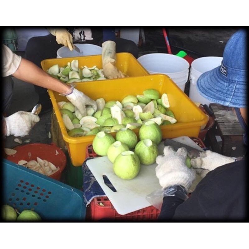 台灣製造非進口【芭樂乾】 芭樂乾 台灣芭樂乾 水果乾 果乾-細節圖5