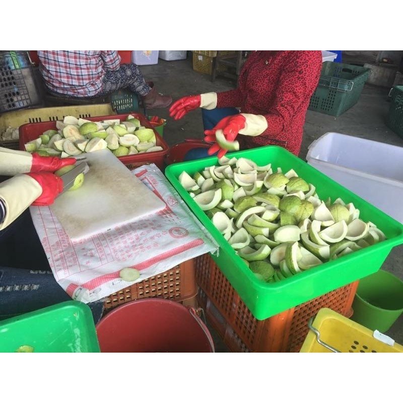 台灣製造非進口【芭樂乾】 芭樂乾 台灣芭樂乾 水果乾 果乾-細節圖8