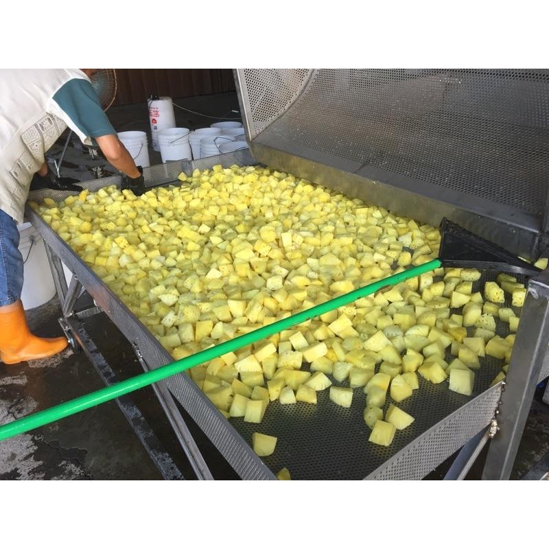 臺灣鳳梨乾 台灣鳳梨乾  鳳梨乾【鳳梨乾】600克八包   水果乾 果乾-細節圖8