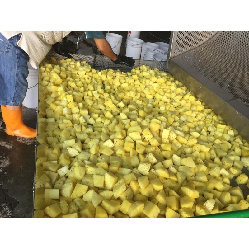 臺灣鳳梨乾 台灣鳳梨乾  鳳梨乾【鳳梨乾】600克八包   水果乾 果乾-細節圖9