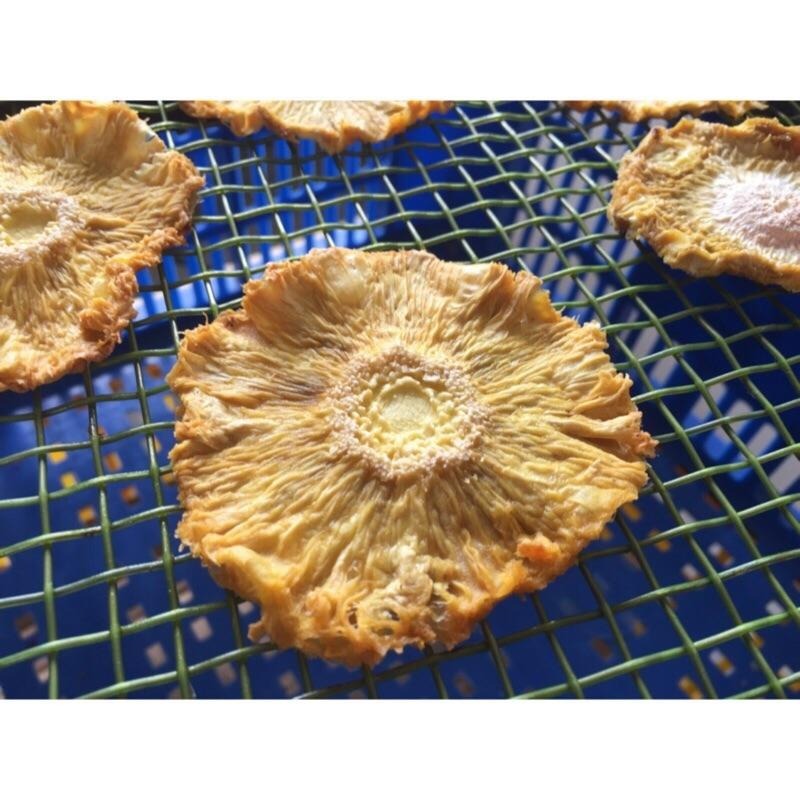 不定時破盤優惠商品 無糖芒果乾 厚片愛文芒果乾  凱特芒果乾 無糖鳳梨花乾 蓮霧乾  【一千萬產品責任險】-細節圖4