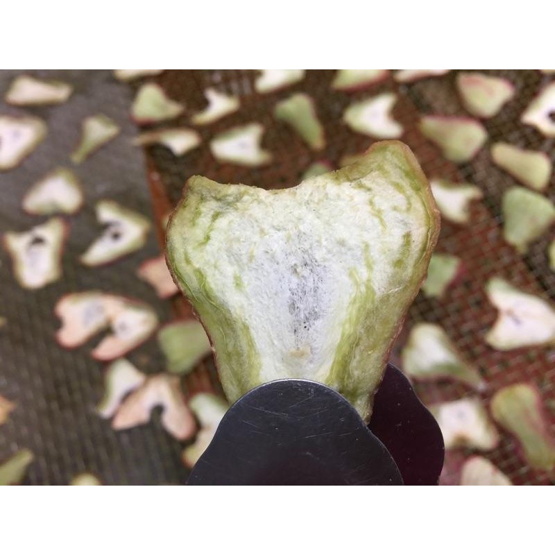 蓮霧乾 蓮霧 果乾 嚐鮮試吃破盤價-細節圖2