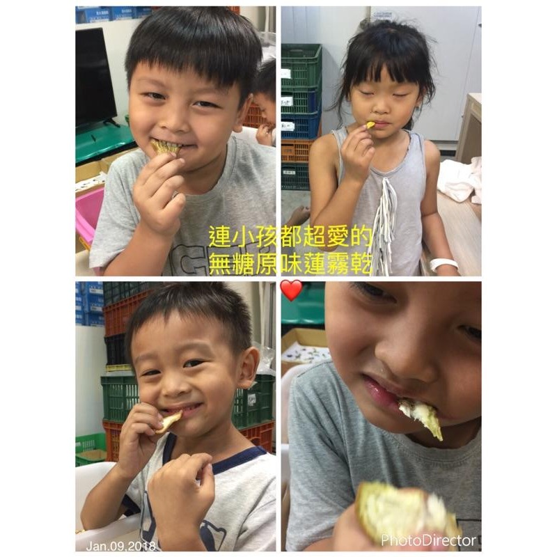 蓮霧乾 蓮霧 果乾 無糖 健康  嚐鮮試吃破盤價-細節圖5