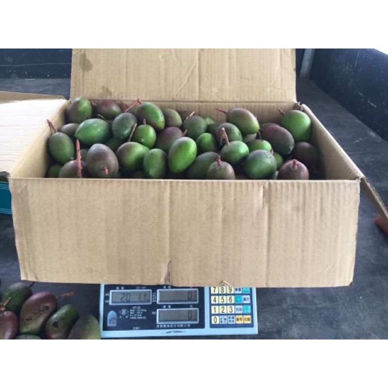 產地直銷 愛文青芒果  金煌芒果青 土芒果 芒果 愛文芒果青-細節圖7