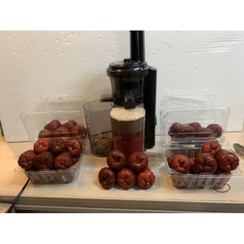 蓮霧 蓮霧原汁 蓮霧冰沙 鮮搾蓮霧冰 蓮霧冰 不加一滴水慢磨而成-細節圖3