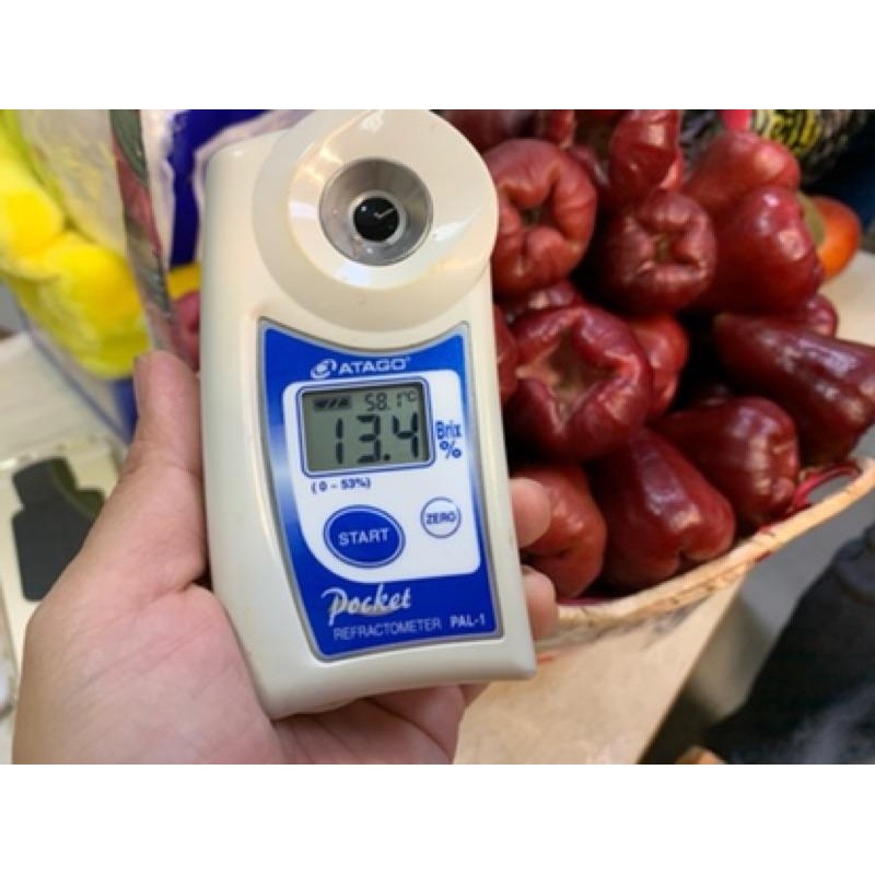 蓮霧 蓮霧原汁 蓮霧冰沙 鮮搾蓮霧冰 蓮霧冰 不加一滴水慢磨而成-細節圖4