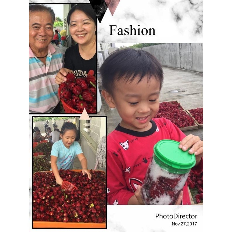 洛神 洛神花 洛神花乾  洛神花蜜餞 洛神花乾-細節圖4