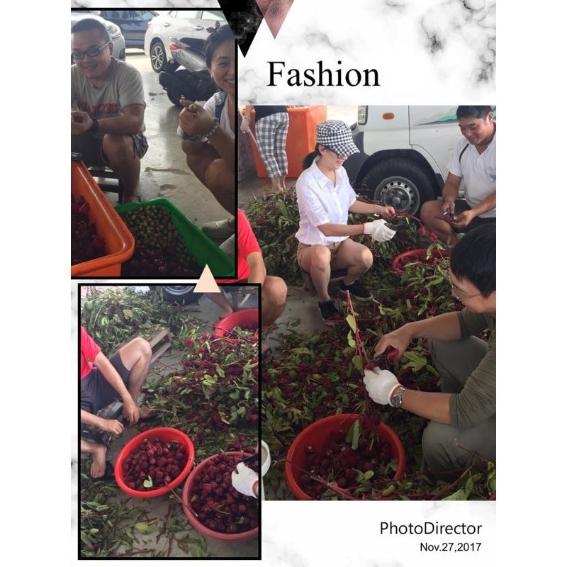 洛神 洛神花 洛神花乾  洛神花蜜餞 洛神花乾-細節圖5