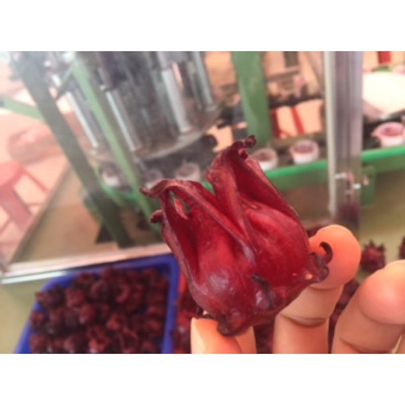 洛神 洛神花 洛神花乾  洛神花蜜餞 洛神花乾-細節圖6