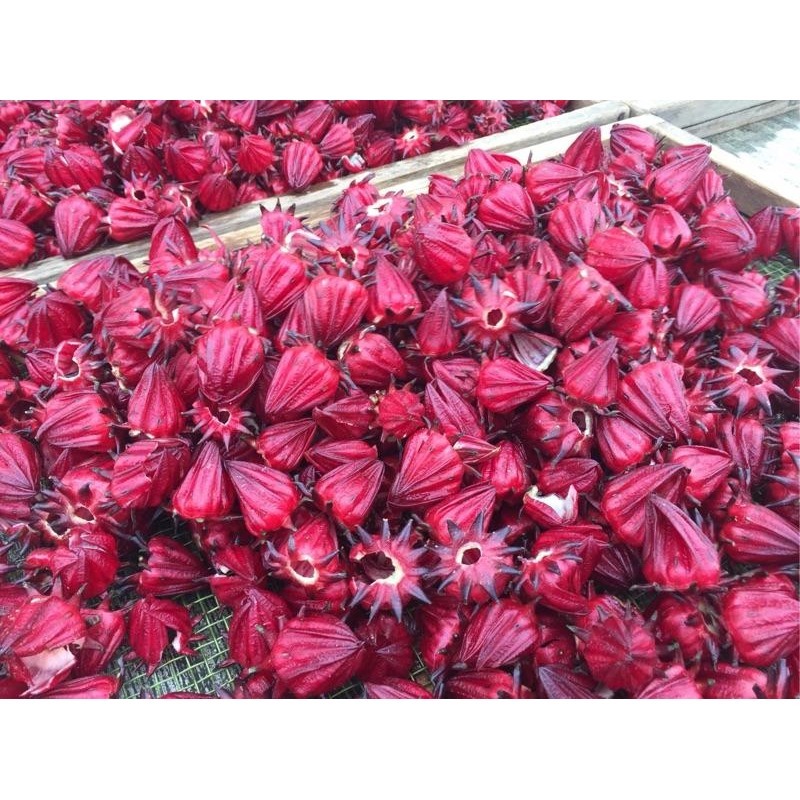 洛神 洛神花 洛神花乾  洛神花蜜餞 洛神花乾-細節圖7