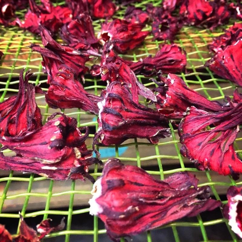 洛神 洛神花 洛神花乾  洛神花蜜餞 洛神花乾-細節圖9