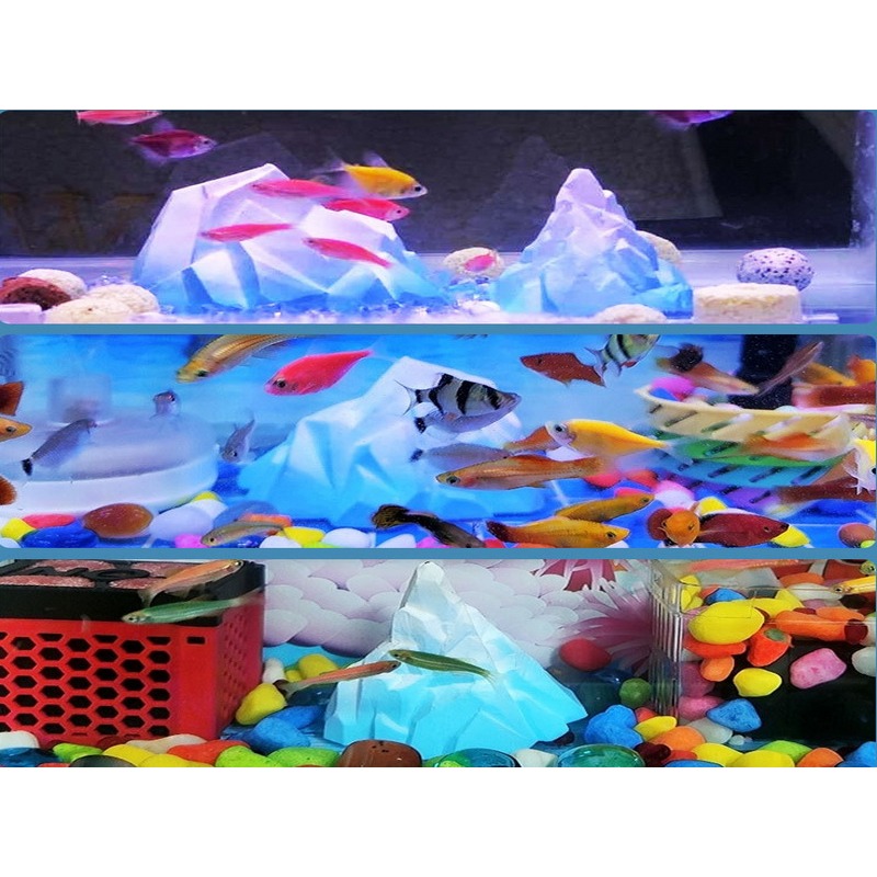 冰山造景 冰河造景 北極 南極造景 螯蝦 水晶蝦 龍蝦 香吉士 短雕 魚缸造景 水族造景-細節圖2