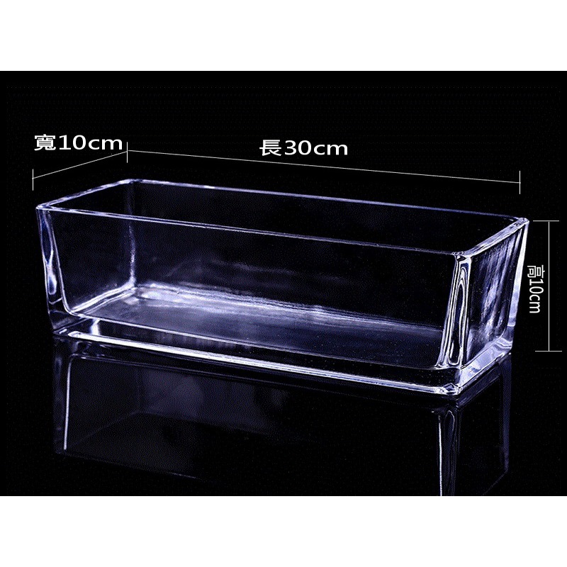 一體成型 魚缸 鬥魚缸 長方形 生態缸 小魚缸 角蛙缸 水培 魚草共生-細節圖2