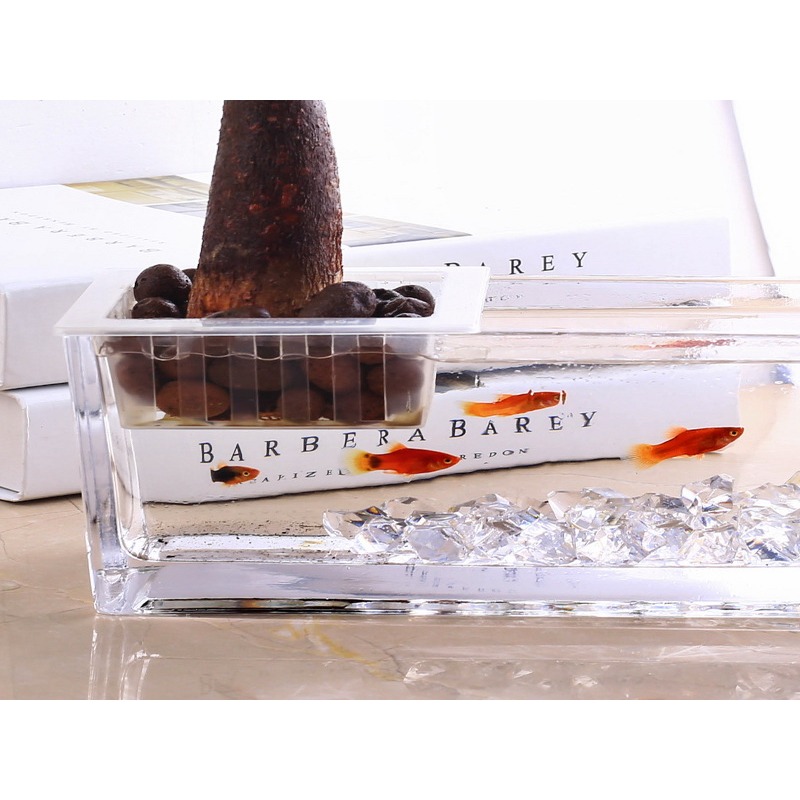 一體成型 魚缸 鬥魚缸 長方形 生態缸 小魚缸 角蛙缸 水培 魚草共生-細節圖3