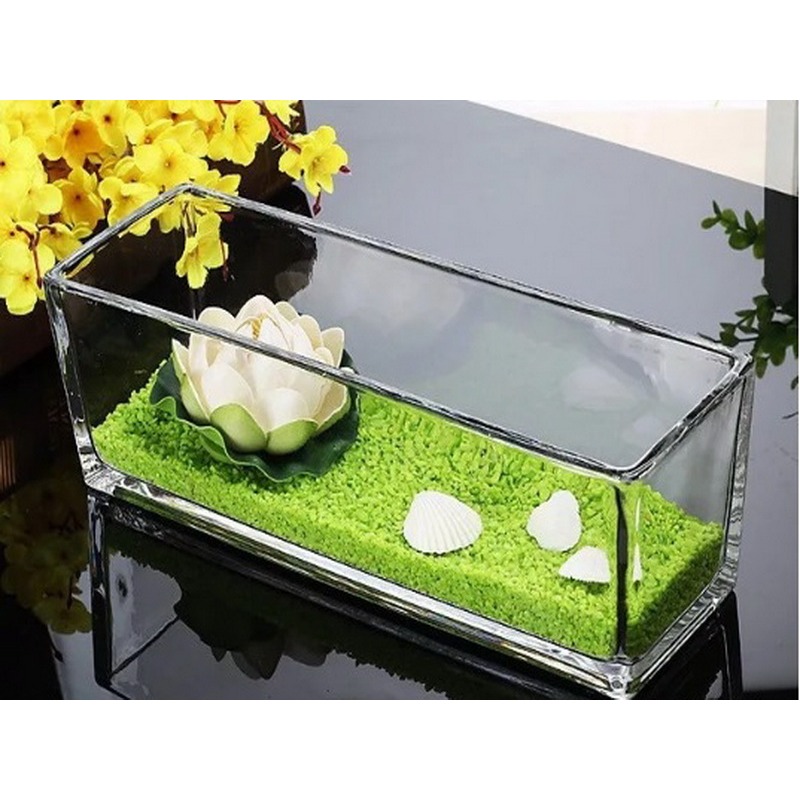 一體成型 魚缸 鬥魚缸 長方形 生態缸 小魚缸 角蛙缸 水培 魚草共生-細節圖4