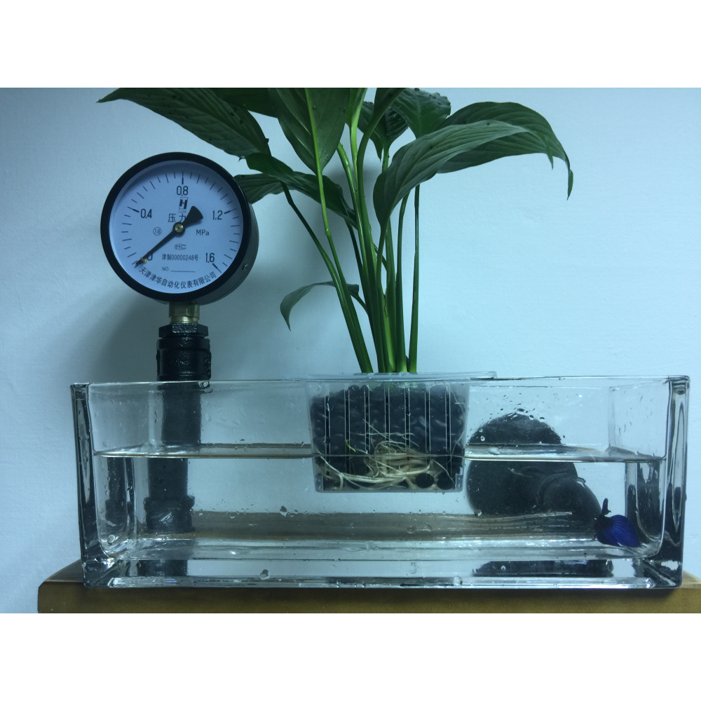 一體成型 魚缸 鬥魚缸 長方形 生態缸 小魚缸 角蛙缸 水培 魚草共生-細節圖5