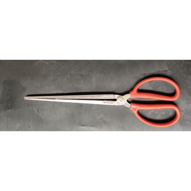 不鏽鋼螃蟹夾 不鏽鋼炭夾 木炭夾 燒烤夾 炭夾 烤肉夾 黃鱔夾 淨灘夾 趕海夾 火鉗-細節圖2