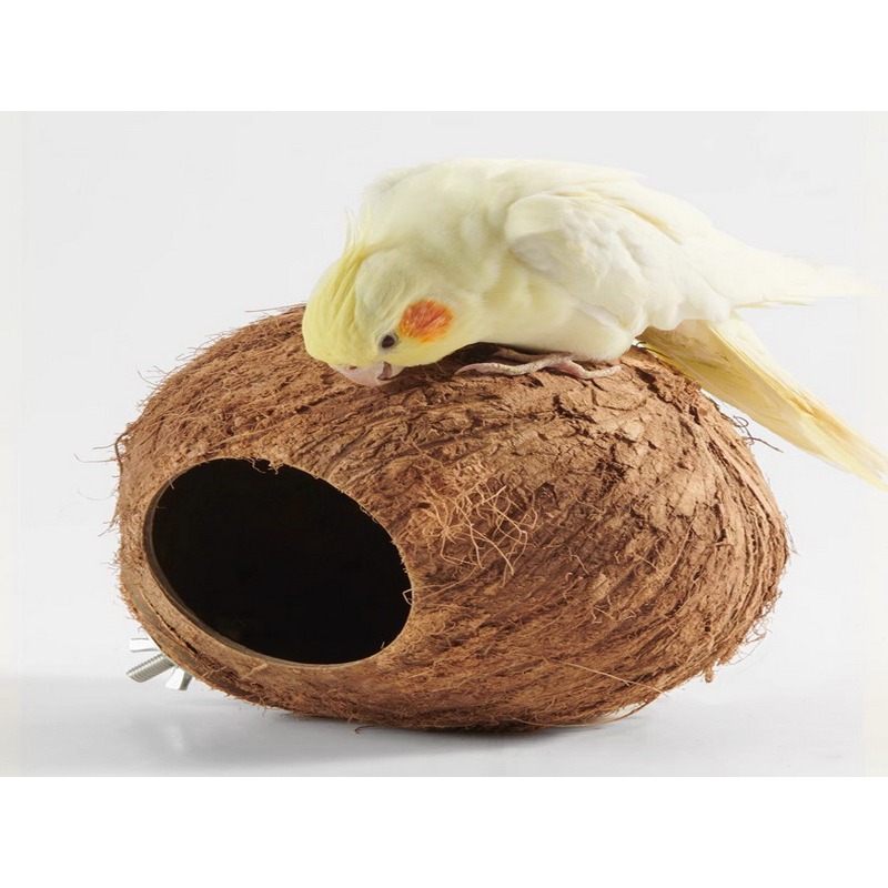 鸚鵡鳥窩 椰子椰殼 樹洞 樹窩 繁殖鸚鵡用品 鸚鵡玩具 玄鳳虎皮 牡丹 文鳥-細節圖2
