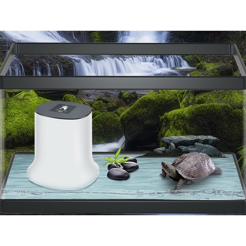 烏龜過濾器 低水位過濾器 水族過濾器 澤龜 水龜 烏龜過濾器 水中過濾 水中循環-細節圖6