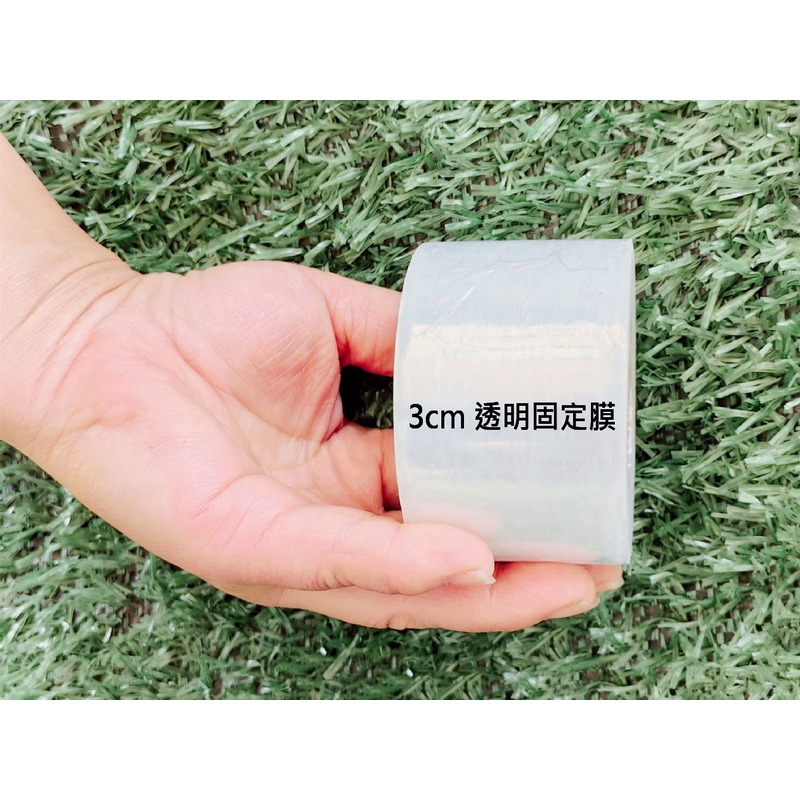 新款水苔棒 透明水苔棒 免螺絲 高剛性保濕攀爬棒 水苔網 氣根攀爬 爬藤植物 蔓綠絨 龜背芋-細節圖6