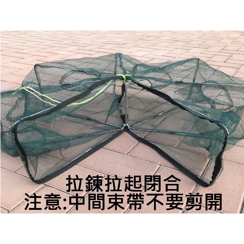 捕魚魚網 捕蝦魚網 蝦籠 魚籠 自動捕魚網 螃蟹泥鰍黃鱔籠網 魚籠 漁網 5孔 6孔 7孔 8孔 10孔-細節圖7