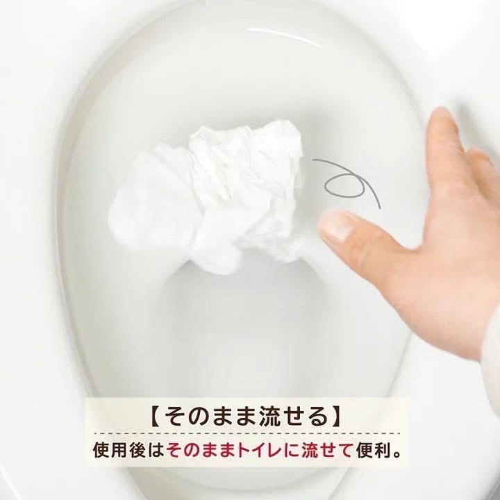 ￼日本 樂天 黏貼式 抗菌 馬桶 坐墊紙 70片 粘貼式 日本製 可沖水 馬桶 座圈 Sanroll 隨身收納包-細節圖3