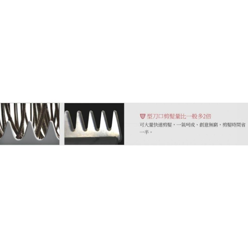 雅娜蒂 amity CL-1000TA 電剪 國際電壓 理髮器 剃頭 公司貨 日本製造 免運 日立 HITACHI-細節圖8