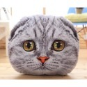 🐱3D仿真灰、橘喵星人單面抱枕🐱辦公室午休枕｜車內枕｜旅行枕｜露營枕｜送禮自用兩相宜🎁-規格圖7