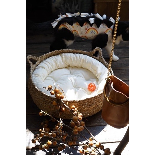 🐱【 多款 • 3種尺寸 】可愛香蒲草編織貓窩｜二合一貓抓板｜四季通用｜可拆洗✨-細節圖3