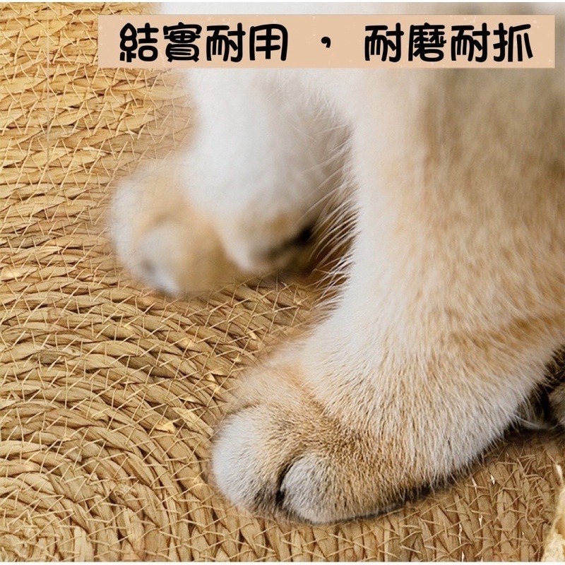 🐱【 多款 • 3種尺寸 】可愛香蒲草編織貓窩｜二合一貓抓板｜四季通用｜可拆洗✨-細節圖4