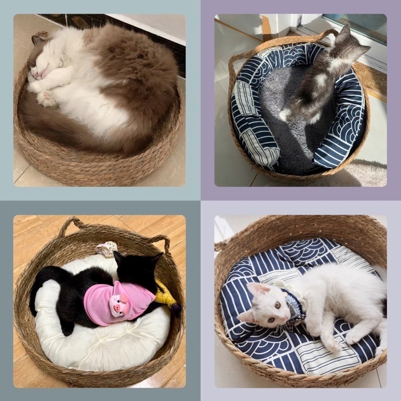 🐱【 多款 • 3種尺寸 】可愛香蒲草編織貓窩｜二合一貓抓板｜四季通用｜可拆洗✨-細節圖8