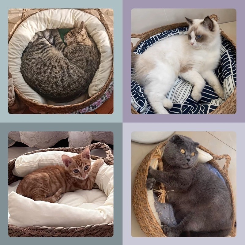 🐱【 多款 • 3種尺寸 】可愛香蒲草編織貓窩｜二合一貓抓板｜四季通用｜可拆洗✨-細節圖9