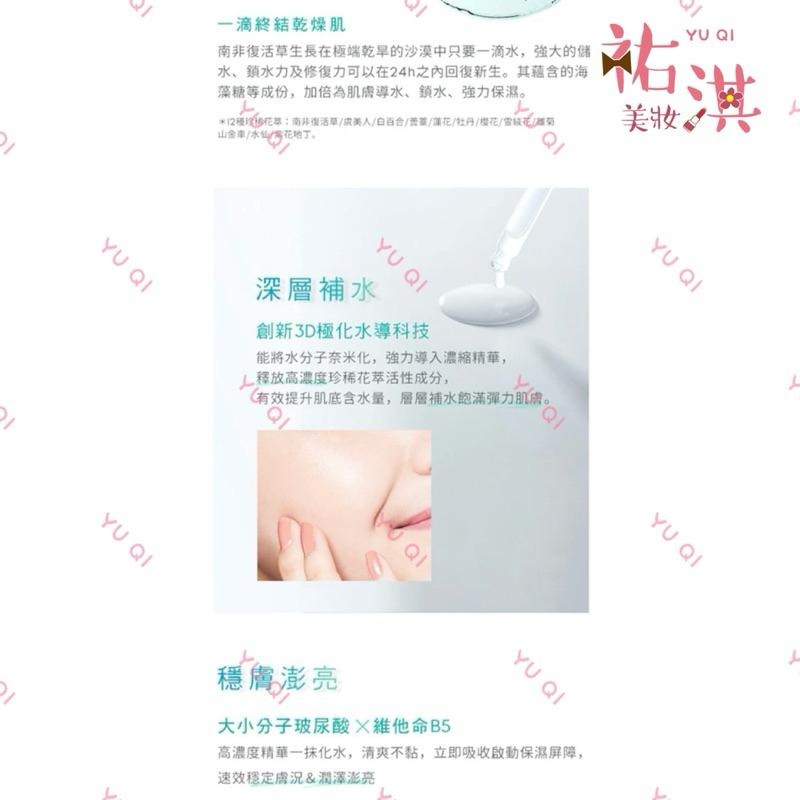 1028+ 復活草系列保濕系列 精華液 修護乳 精萃水 效期至2024/12【祐淇美妝】-細節圖5