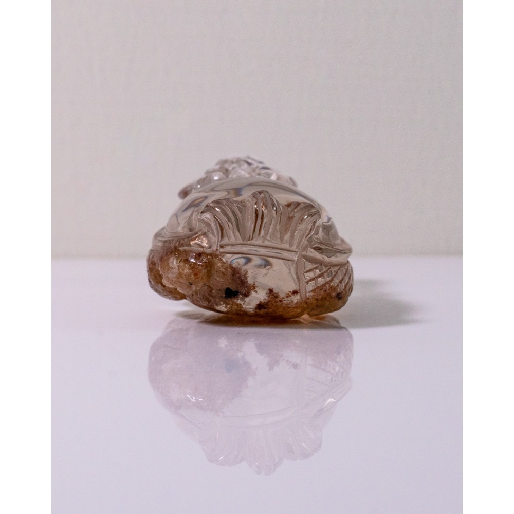 紅幽靈中型胖肚肚龍龜-細節圖2